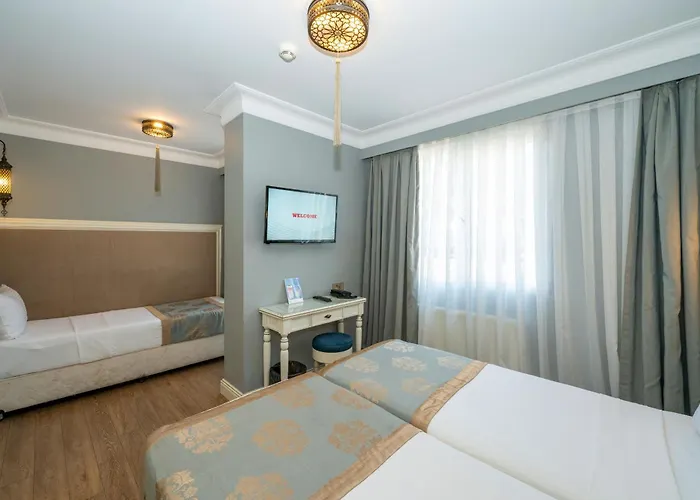 Отель Raymond Blue Стамбул