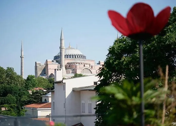 Raymond Blue Отель Стамбул